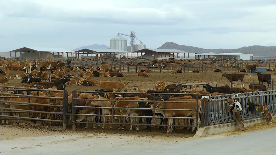 Willcox Dairy Farm