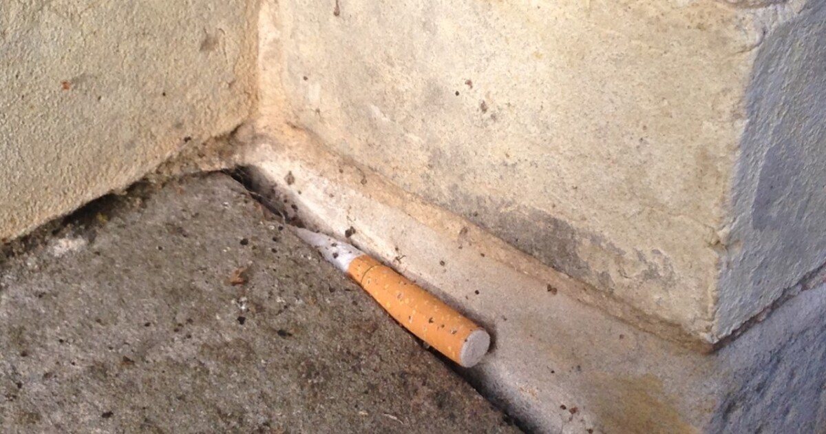 Discarded Cigarette Butts: More Than An Annoying Eyesore in Milwaukee |  WUWM 89.7 FM