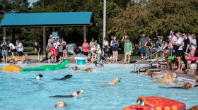 Dogs paddle in the pool for the final swim of the season at the Leawood Aquatic Center in September 2025. Area pools are offering area canines a chance to beat the heat before the water is drained at the end of the season.