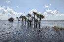 Lake Jesup is among the water bodies in Central Florida considered to be impaired by pollution, according to the Florida Department of Environmental Protection. Here, Lake Jesup is seen with high water levels in October 2024, weeks after Hurricane Milton.