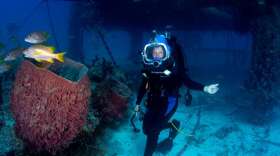 Sylvia Earle passes a barrel sponge as she explores outside Aquarius laboratory. (Kip EvansPhotography)