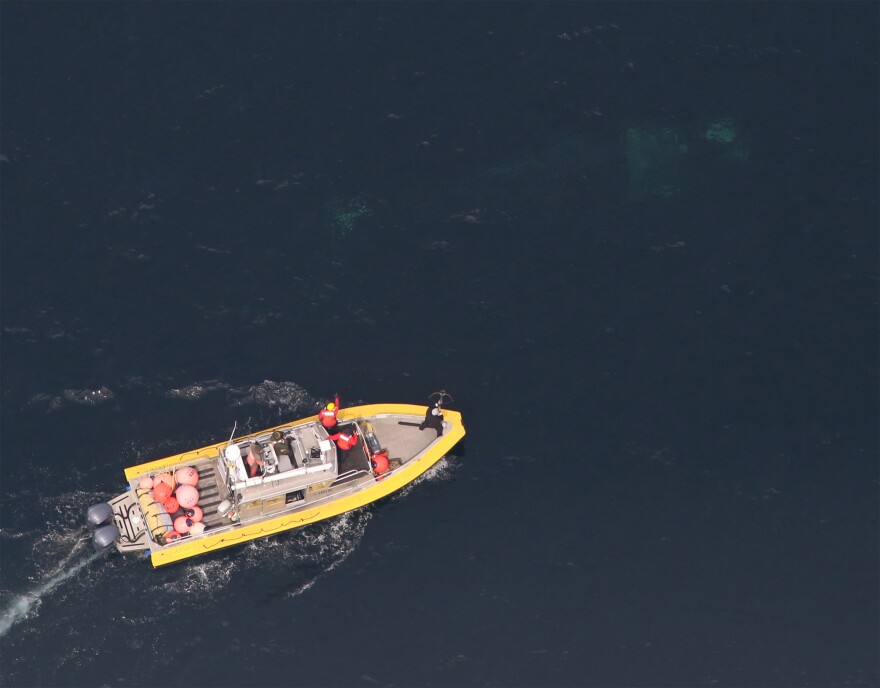 Bob Lynch stands on the bow of the Center for Coastal Studies' response boat, Ibis, preparing to shoot a four-bladed crossbow arrow to cut the ropes entangling a female North Atlantic right whale known as Kleenex. 