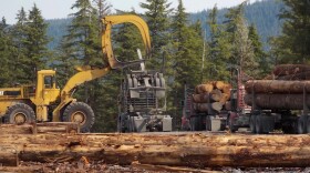 Logs being moved from the road system to water on Kupreanof Island near Petersburg in 2013.