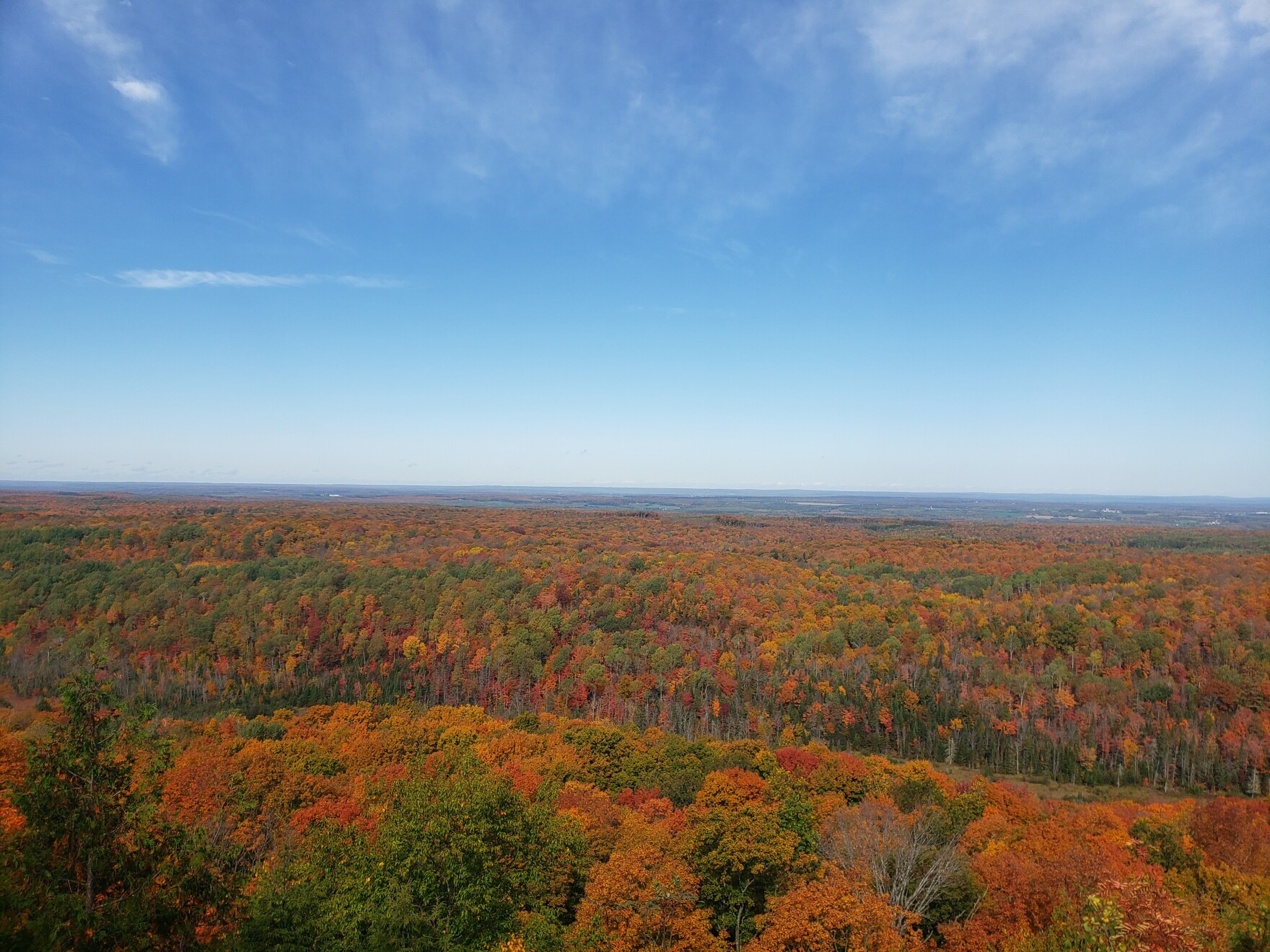 Chequamegon Nicolet National Forest Begins YearLong Visitor Use Survey WXPR