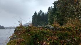 A rocky outcropping at the end of Indian Point on Oct. 3. This area is one of the oldest known village sites of the Aak’w Kwáan in the region and listed on the National Register of Historic Places. (Photo by Jacob Resneck/KTOO)