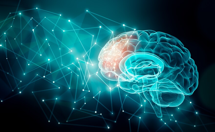 This stock image depicts human brain activity.