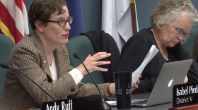 Councilmember Isabel Piedmont-Smith (District V) speaks during the Nov. 19 meeting of the Bloomington City Council. Piedmont-Smith sponsored 25 of the 32 amendments proposed this week.