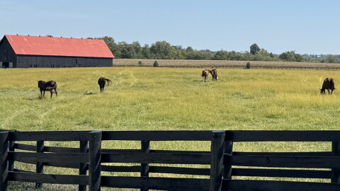 Woodford County farmland will currently be protected under new Data Center ban.