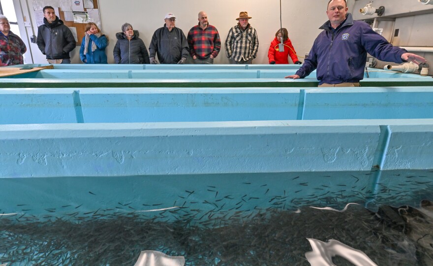 Walt Yetter, the Pleasant Mount Hatchery manager, discusses how fish are spawned at the facility.