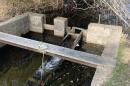  the fish ladder at Long Pond in Yarmouth
