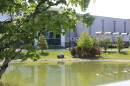A photo of a pond in front of a data center fenced off behind it, a tree is close to the screen. 