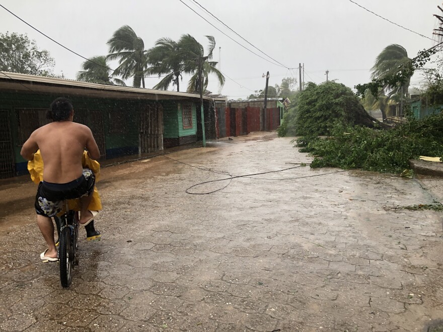 A man rides a bike trough a street with trees fallen by heavy winds of Hurricane Eta on Tuesday in Puerto Cabezas, Nicaragua.