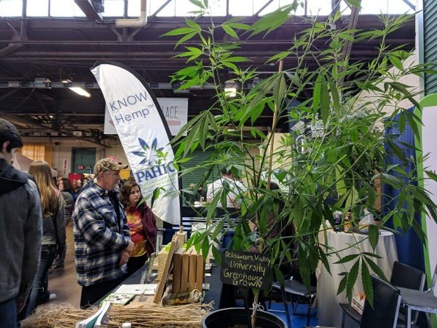 Hemp displayed at the 2019 Pennsylvania Farm Show. (Photo: Rachel McDevitt/WITF)