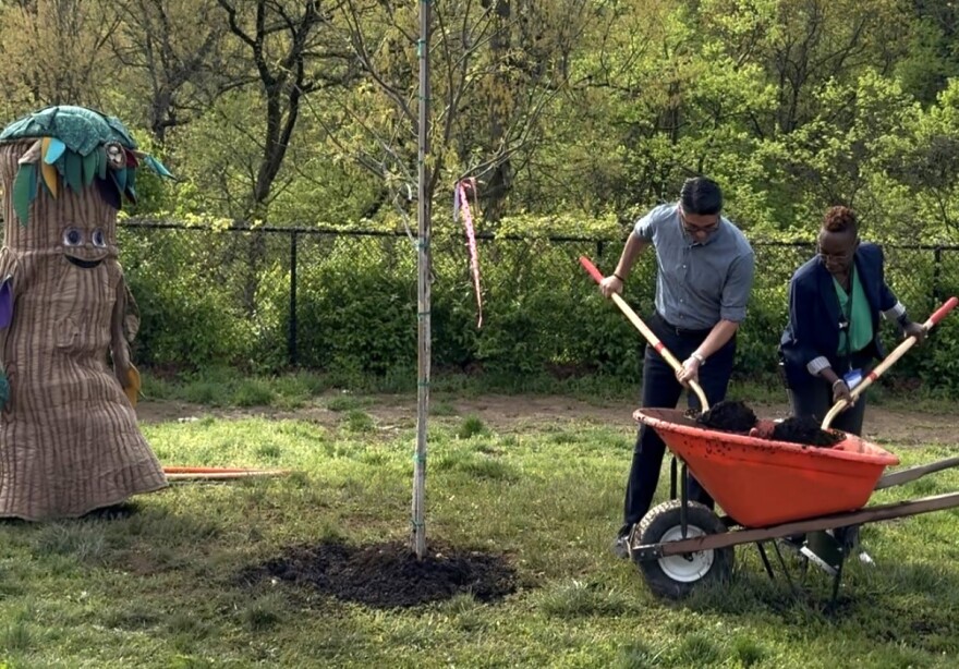 Cincinnati Mayor Aftab Pureval (center) plants a tree at Roberts Academy in Price Hill in April 2025. This was the city's first official use of biochar while planting new trees.