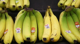 The bananas on the right will likely get dumped into the compost pile because most consumers, like those at this Kansas grocery store, prefer to buy pristine produce.