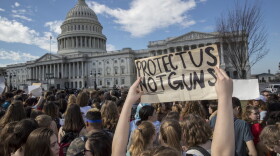 School students from Montgomery County, Md., in suburban Washington, rally in solidarity with those affected by the shooting at Parkland High School in Florida, at the Capitol in Washington, Wednesday, Feb. 21, 2018. (AP Photo/J. Scott Applewhite)