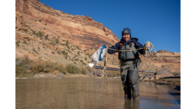 CPW ANS staff prepares to throw plankton tow to collect a water sample from the Colorado River on Oct. 19.