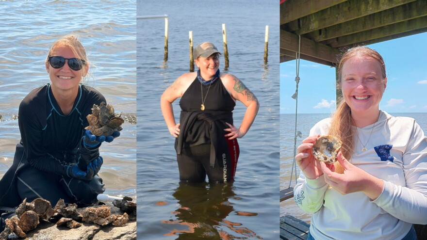 Three portraits of female marine scientists who work on oyster conservation. One woman stands in Mobile Bay while the others hold oyster shells.