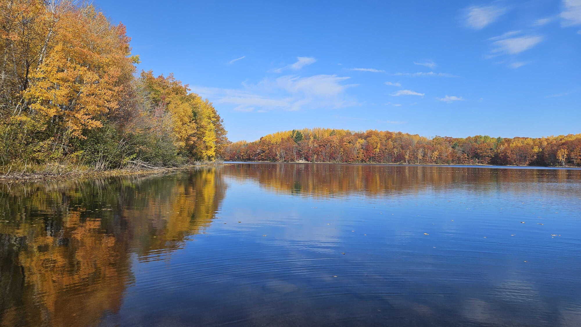 All Things Outdoors: The DNR Tip Line episode artwork