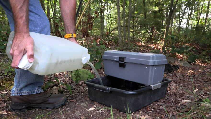 Rocco Genovese sets up a mosquito trap at Robinson Park in Scranton.