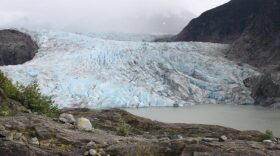 Mendenhall Glacier, in Juneau, is retreating. The report says it’s “very likely” that human activities have contributed to sea ice loss, glacier mass loss and the decline of snow extent in the Northern Hemisphere. (Photo by Lisa Phu/KTOO)