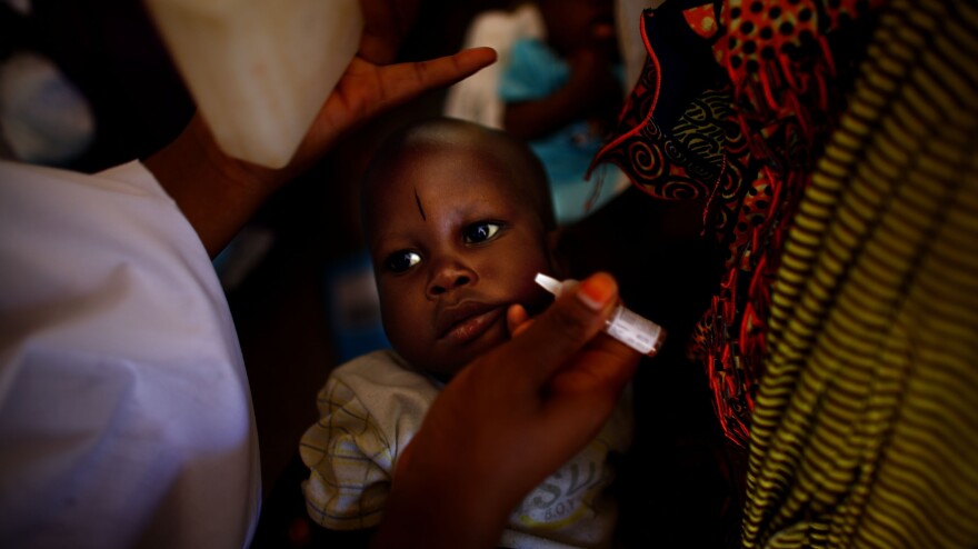 A child is immunized against polio at the health clinic in a farming village in northern Nigeria. The procedure involves pinching two drops of the vaccine into the child's mouth. For full protection, the child needs three doses, spaced out over time.