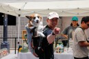 A pet owner carries their dog in a backpack at Pet Party in San Jose.