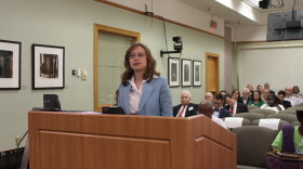 Beth Alden, head of the Hillsborough Metropolitan Planning Organization, told Tampa City Council on Thursday that the proposed sales tax increase would allow the county to adequately fund roadway maintenance. 