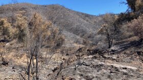 Firefighters continue mopup of the 131,000 acre Gifford Fire on the Central Coast.