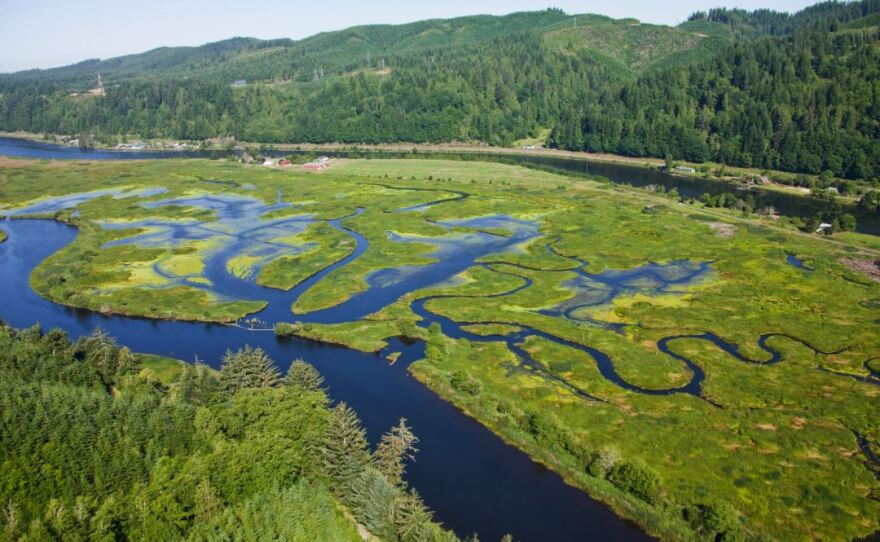 Siuslaw river region.