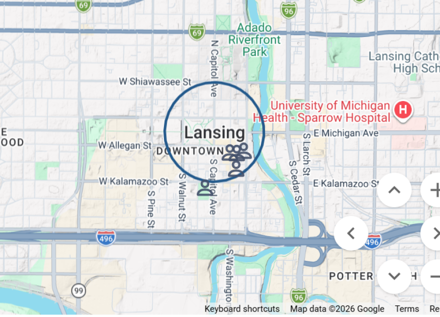 A screenshot from a search for Lansing in the Michigan Sex Offender Registry, which is maintained by the Michigan State Police.