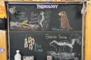Chalk illustrations show box elder seeds, a striped skunk, a woodchuck, a Black-Backed Woodpecker, and frozen wood frogs.