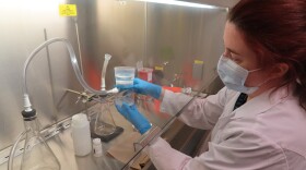 Dr. Davida Smyth is an associate professor of microbiology at Texas A&M University-San Antonio. She has been analyzing wastewater for the presence of COVID-19 since early in the pandemic.