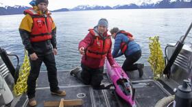 Three people standing and kneeling around a pink ocean drone on a research vessel