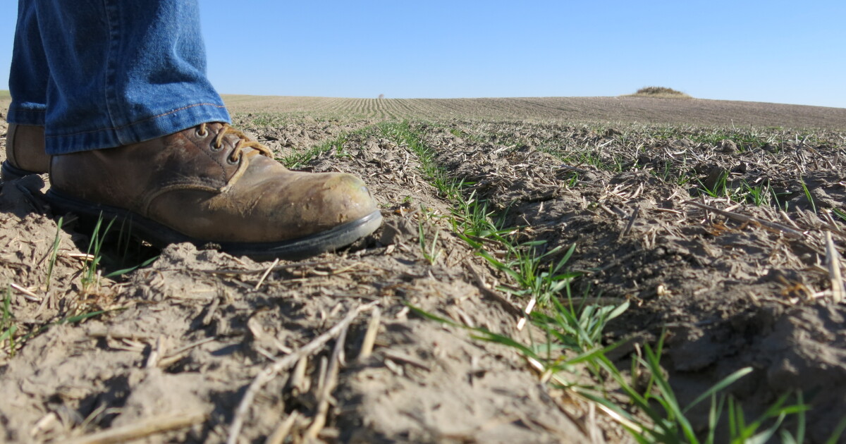 Uncertainty Ahead For Farmers Dependent On Government Climate Research