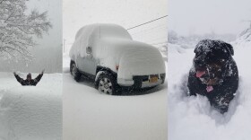 Photos submitted by people in the southtowns, from left to right: "Officially over my head in OP" from Kelly McLaughlin LoTempio, "(Route) 240 this morning!!! I cleaned it off before bed last night ❄️" from Amy Smith, and a photo of a dog in the snow from Wendy Lynn Powell.