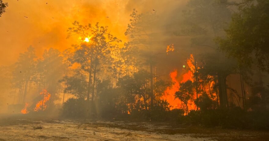 A burn ban is now in effect in Orange County as the risk for fires is high due to dry and hot conditions.