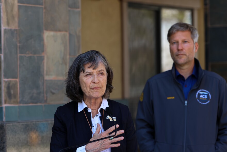 Family and Community Service Director Carol Pierce addresses the media as Mayor Tim Keller looks on