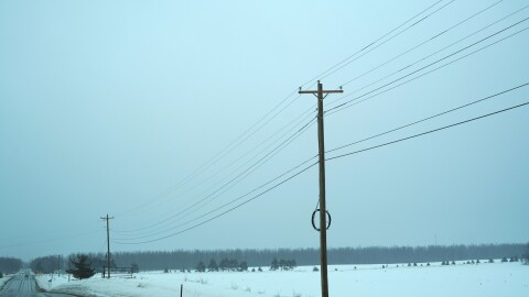 Electric poles and wires along M-32 near Gaylord. Resident Wanda Whiting says lines like this were down during the March 2025 ice storm. (Photo: Vivian La/IPR News)