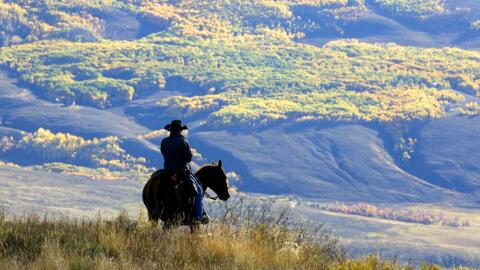 A wrangler overlooks aspen trees with their autumn colors, near Jacks Cabin in the Slate River Valley near Crested Butte, Colo. while gathering the Spann cattle from the U.S. National Forest lands. (Nathan Bilow/AP)
