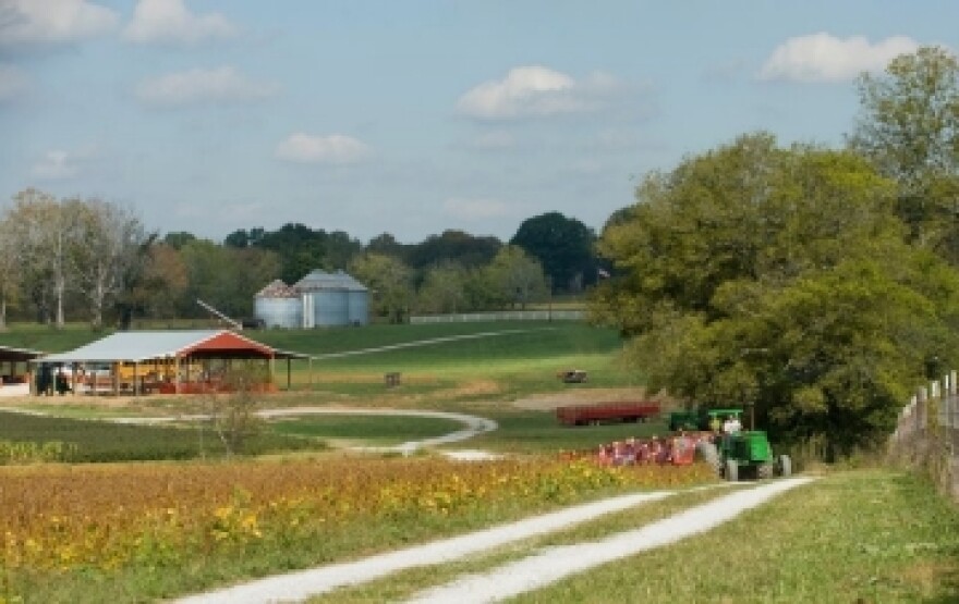 tennessee agriculture