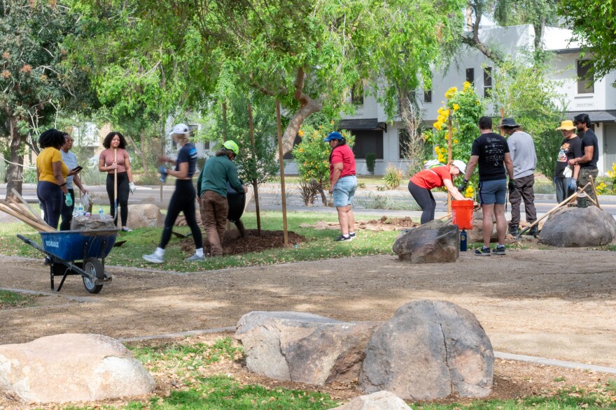 A group with Tempe Leadership helped with the replacing of trees lost to the Tempe microburst.