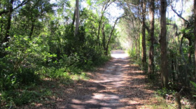 Environmentalists are trying to preserve the 44-acre Gladys Douglas Preserve in Dunedin