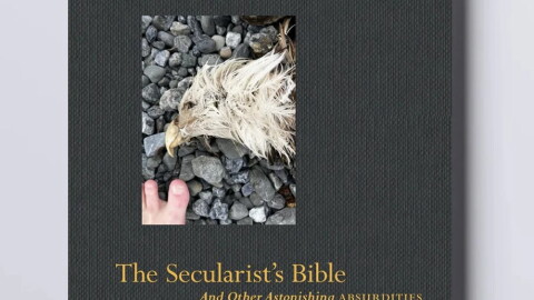 TSBmockupcover