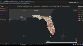 Map showing the number of cases reported to the Florida Department of Health in the last day. Image: Florida Department of Health 