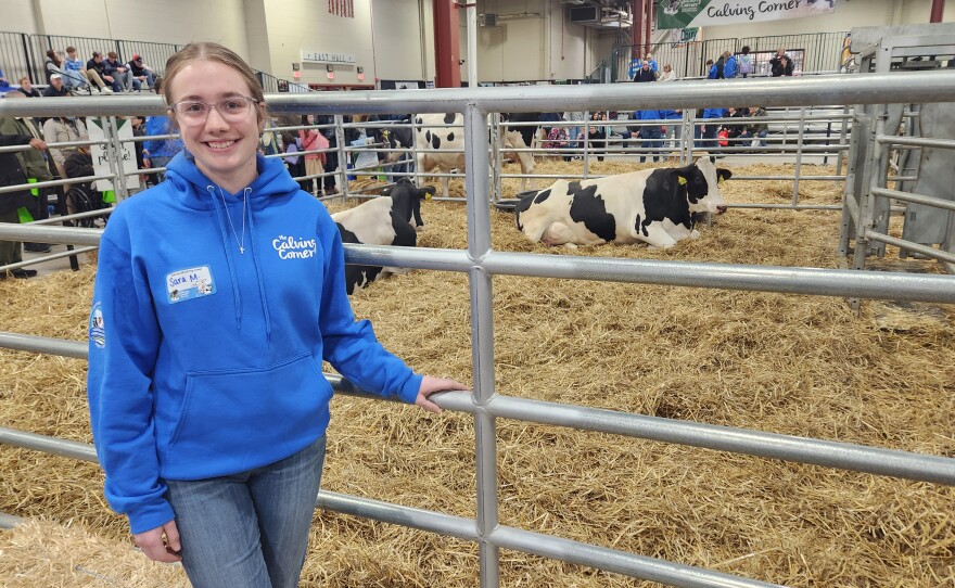 Sara McNichols, a Scranton native and Penn State student, interns at the "Calving Corner" at the Pennsylvania Farm Show.