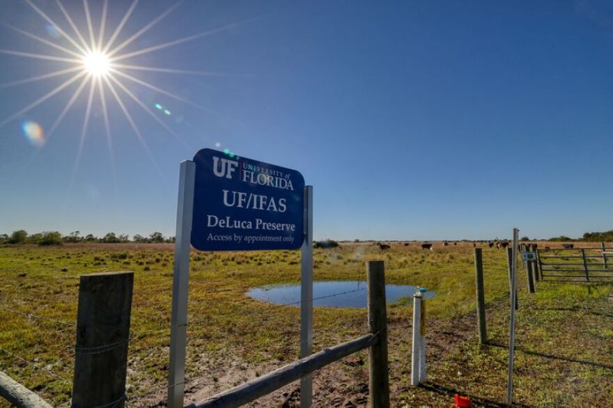 UF IFAS sign at DeLuca Preserve