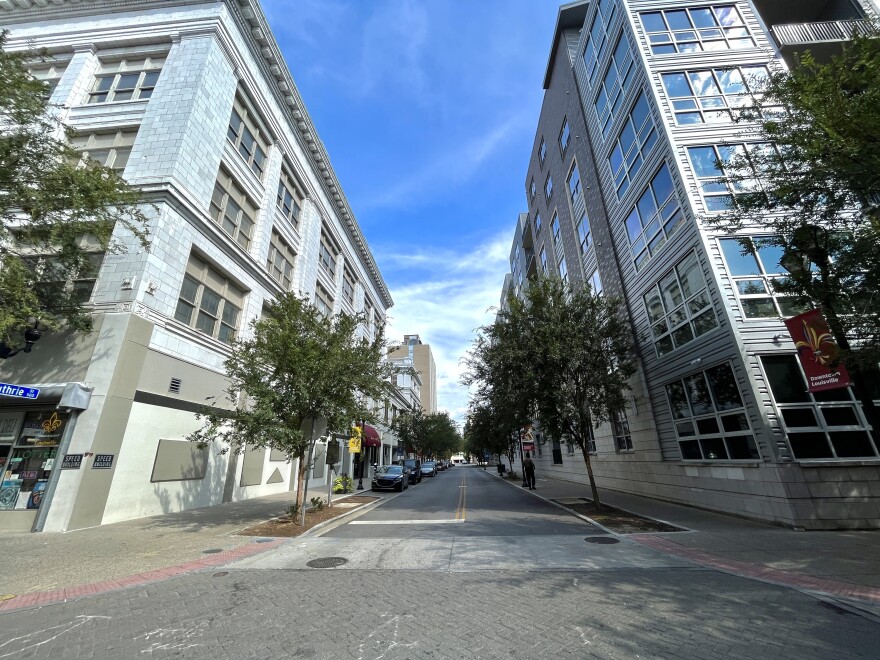 City trees planted in downtown Louisville at 4th Street and Guthrie.