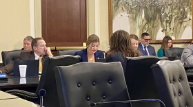 Rep. Suzanne Schreiber, D-Tulsa, presents a bill on medical debt before a House committee at the Capitol in Oklahoma City on Thursday, Feb. 22, 2024.