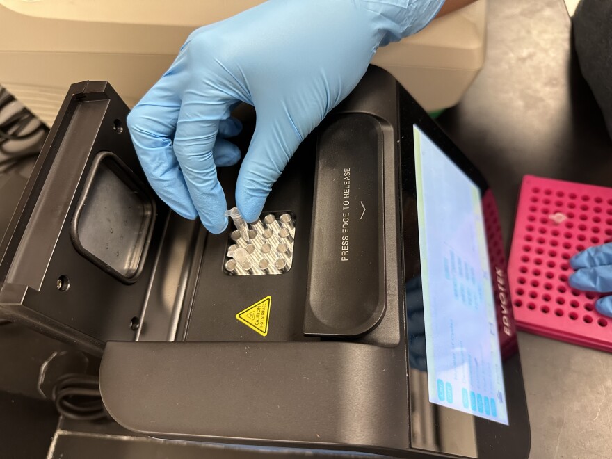 A hand in blue gloves putting small vials in a piece of black testing equipment.